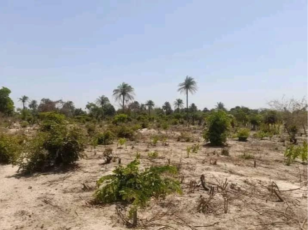 product-name:20x20 Empty plot of Land for Sale in Siffoe ,supplier-name:SA PROPERTIES