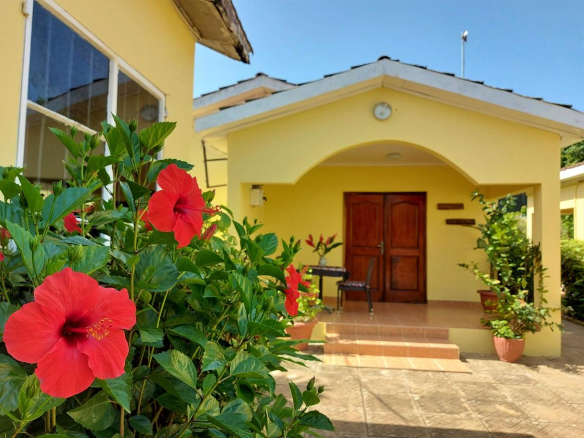 Bougainvillea House logo